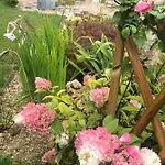 Bed & Breakfast La Demeure D'agapanthe Vinay (Marne)
