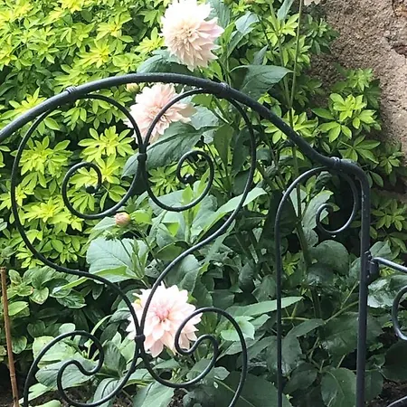 La Demeure D'agapanthe * Vinay (Marne)