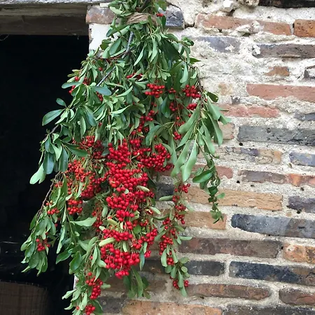 La Demeure D'agapanthe * Vinay (Marne)