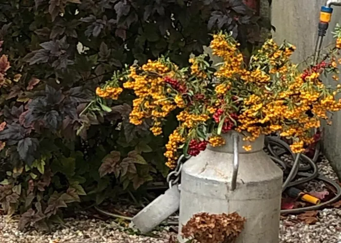 Bed & Breakfast La Demeure D'agapanthe *